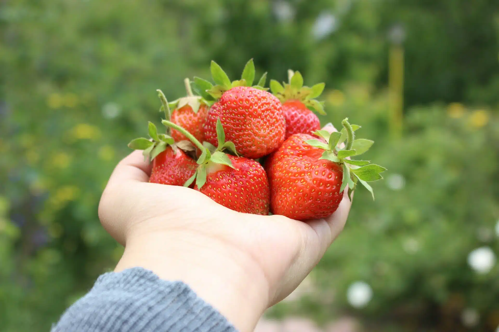 You are currently viewing The sweet-tooth audience forces manufacturers to create better-for-you products