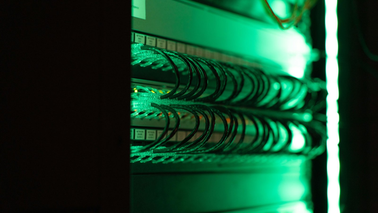 Close-up of a server in a data center server room