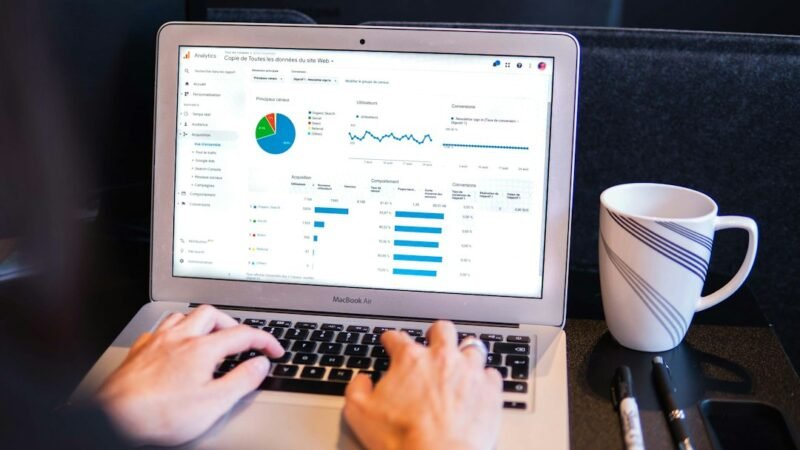 A Google Analytics overview report screen showing traffic source data