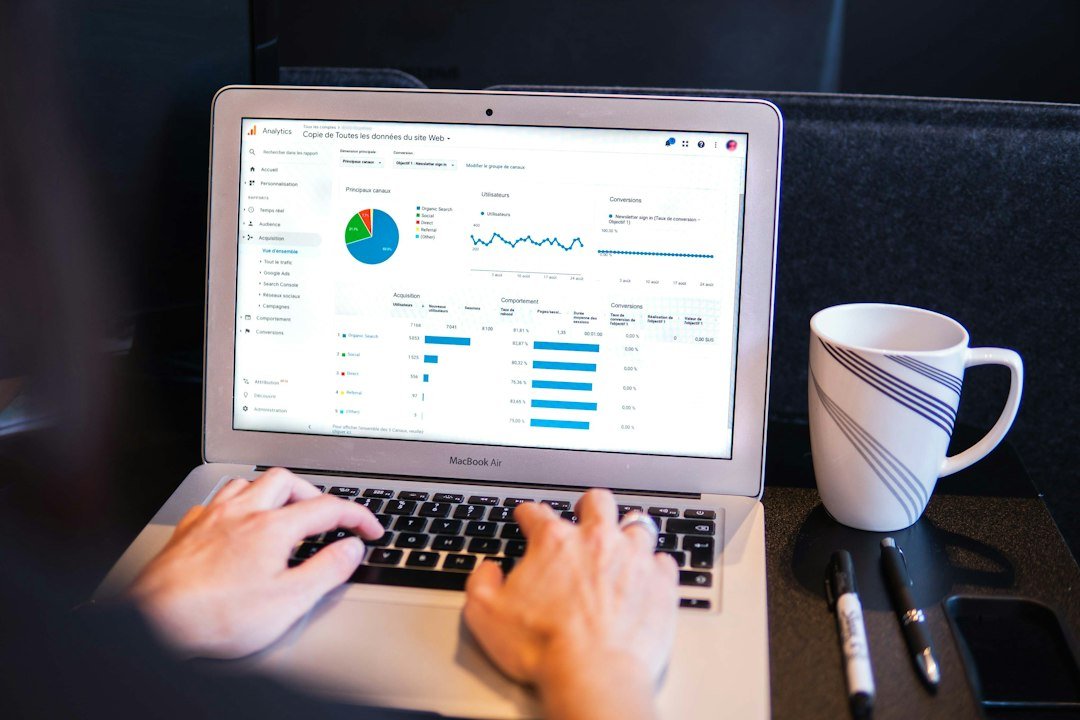 A Google Analytics overview report screen showing traffic source data