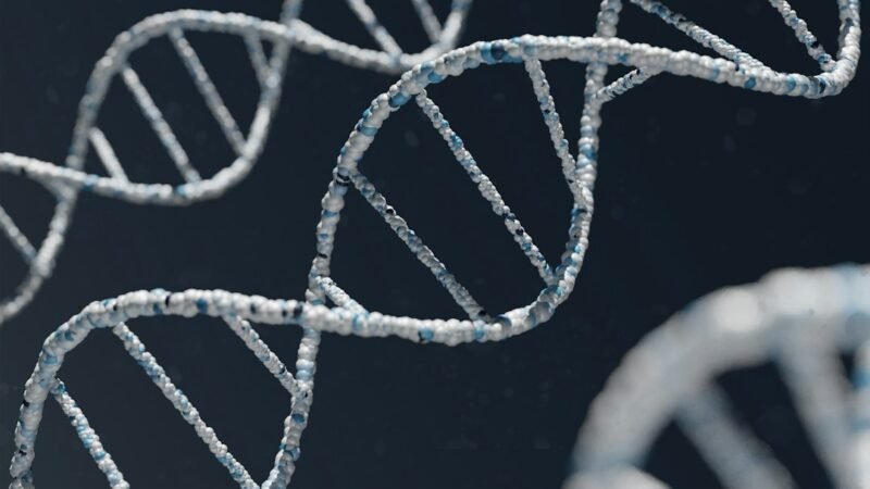 White and blue DNA double helix illustration representing Hugging Face's Carbon-X genomics AI model