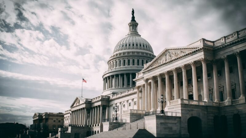 The United States Capitol building in Washington DC