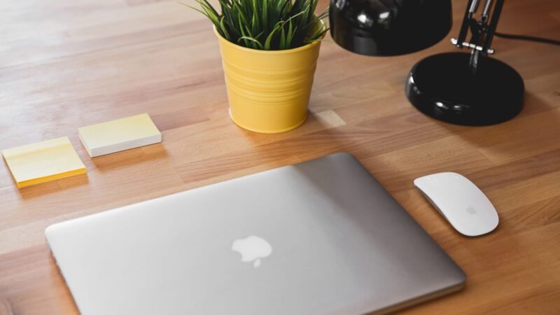 Closed MacBook on a wooden desk beside a plant, lamp and mouse