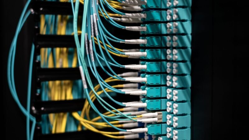 Network cables connected to a patch panel in a data center