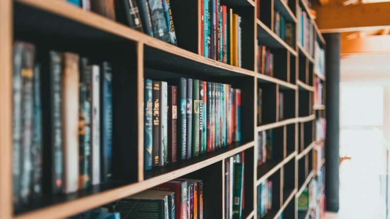 Colorful books arranged on modern shelves in a bright library