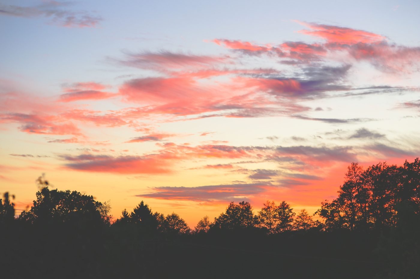 Vibrant sunset with silhouetted trees and colorful clouds